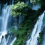 Privacy Flows with EWP and PPLI