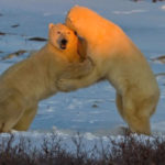A Great Dance Couple: EWP & Trust